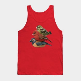 3 cute colored birds Tank Top